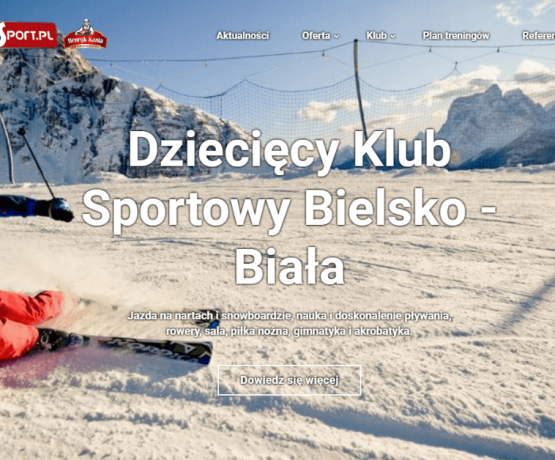 Nowy serwis www dla Paluch Sport z systemem zarządzania zajęciami