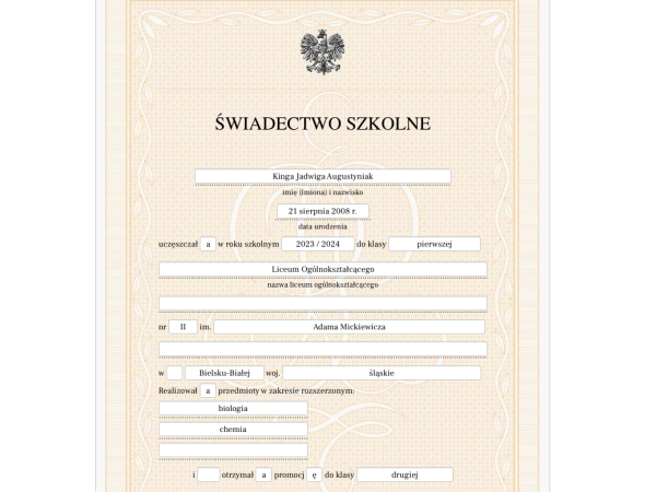 Dzienniki - świadectwa i arkusze ocen